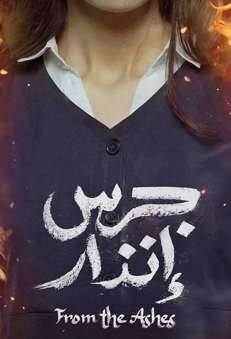 صورة الغلاف